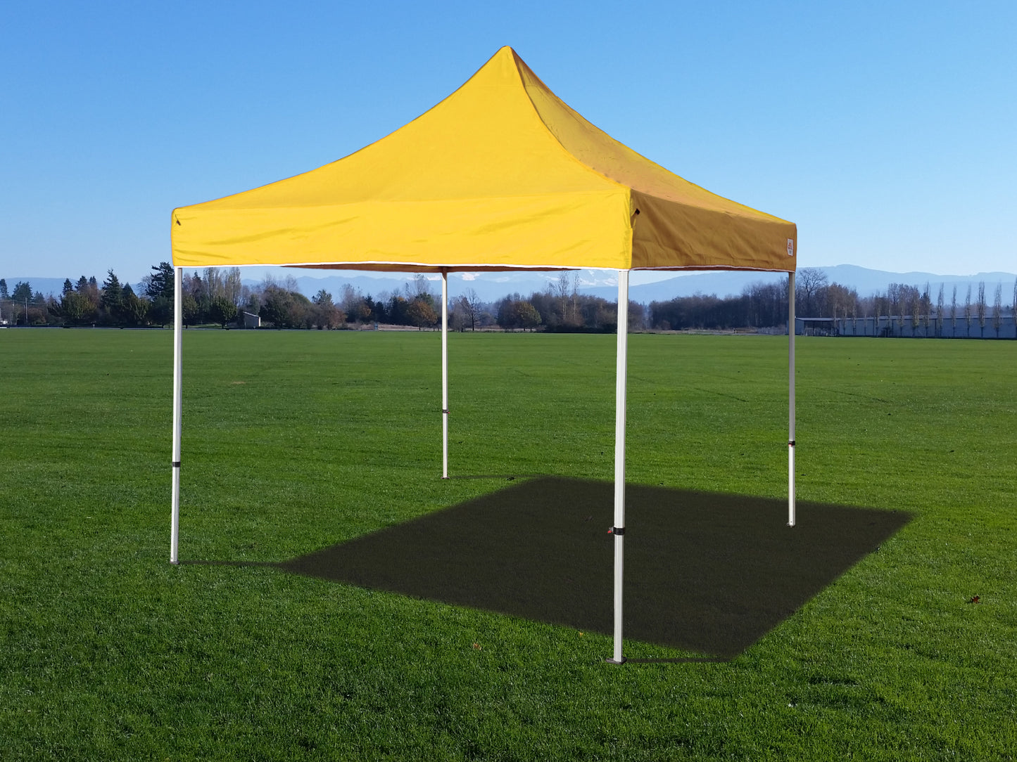 10x10 Apex Series 4 Pop-Up Canopy with HEX Frame